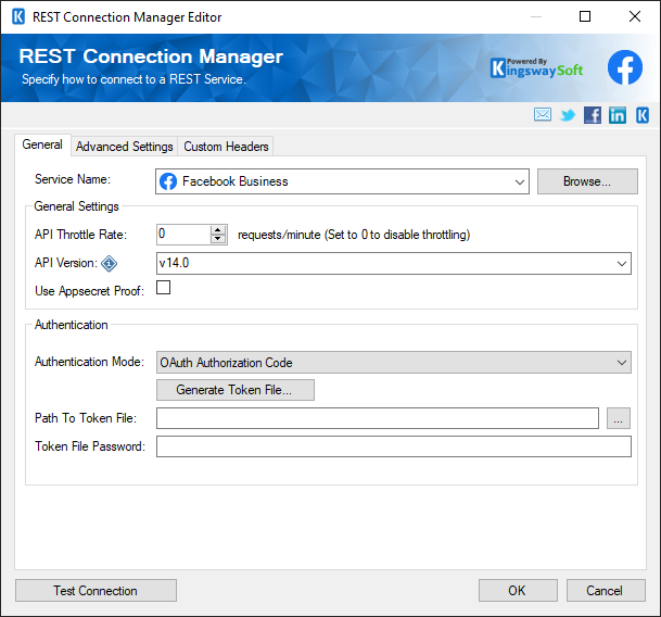 SSIS REST Facebook Business Connection Manager